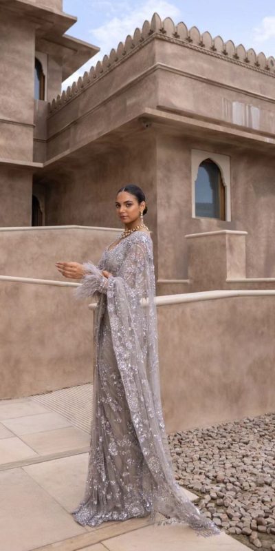 Fancy Silver Color Nylon Butterfly Net Malty & Sequence Saree