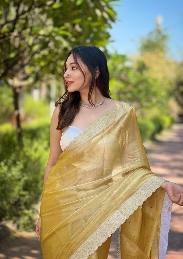 Fancy Golden Color Burberry Silk Diamond Sequins Saree