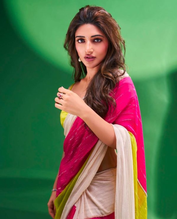 Multi Marshmallow With Zari Georgette Saree - Image 5