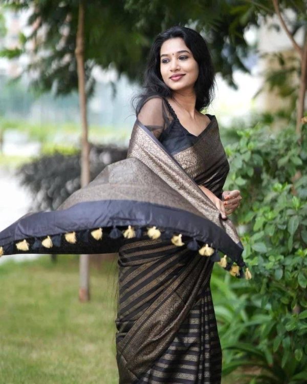 Black Soft Silk Jacquard Work On All Over Saree - Image 3