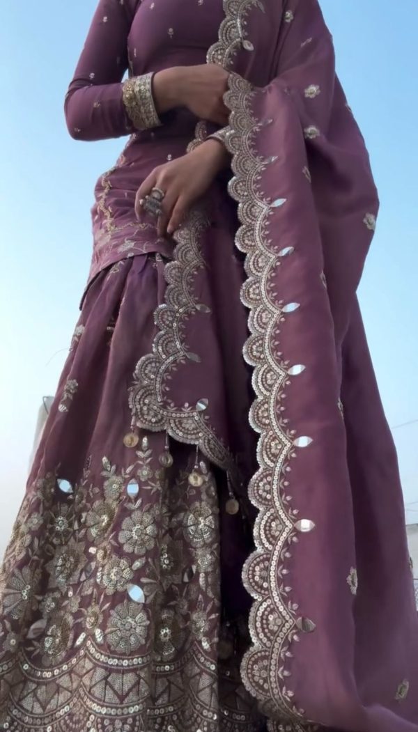 Pink Twill Net With Heavy Embroidery Sequence Work Salwar Suit - Image 4