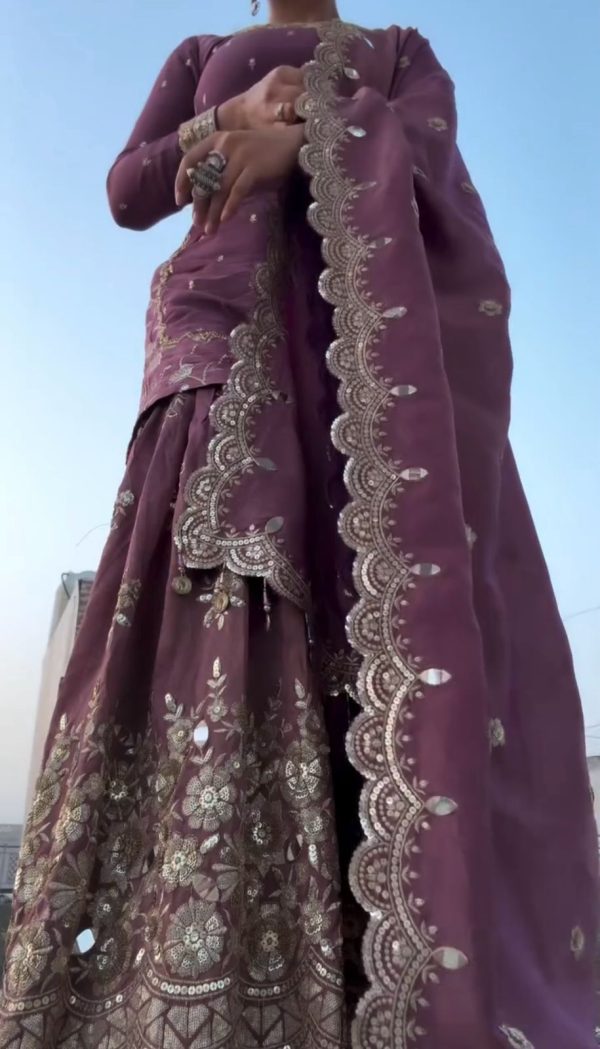Pink Twill Net With Heavy Embroidery Sequence Work Salwar Suit - Image 5