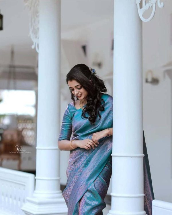 Blue Soft Litchi Silk Jacquard Work On All Over Saree - Image 4