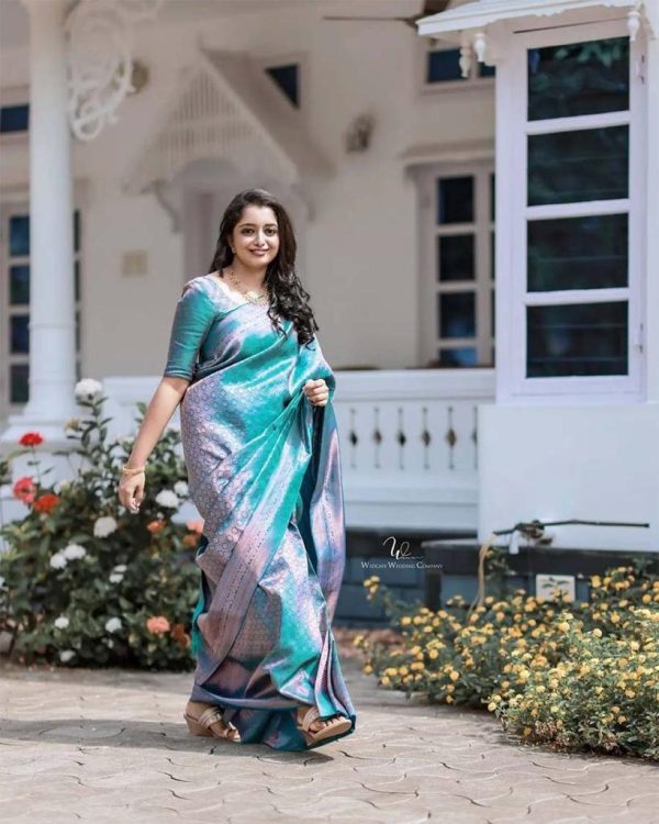 Blue Soft Litchi Silk Jacquard Work On All Over Saree - Image 7
