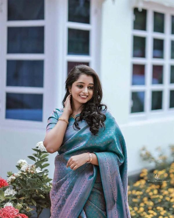 Blue Soft Litchi Silk Jacquard Work On All Over Saree - Image 8