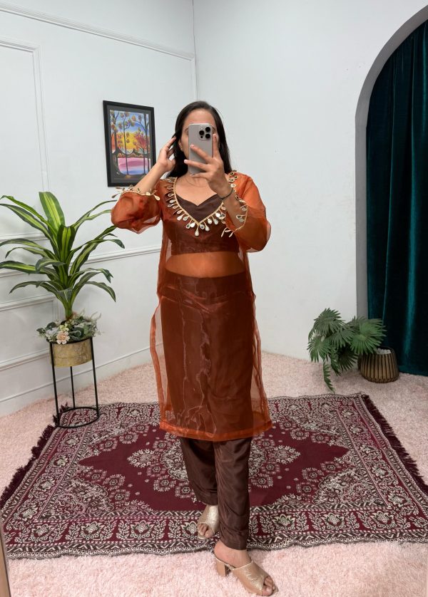 Brown Organza Mirror Lace Work Salwar Suit - Image 2