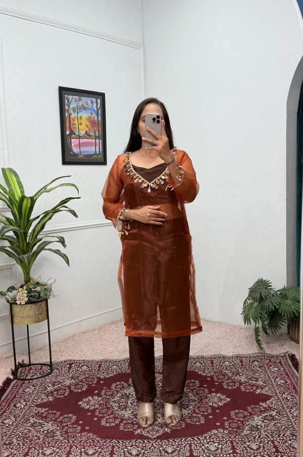 Brown Organza Mirror Lace Work Salwar Suit - Image 3