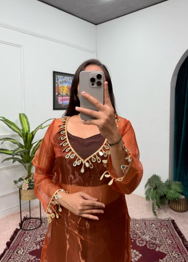 Brown Organza Mirror Lace Work Salwar Suit - Image 4
