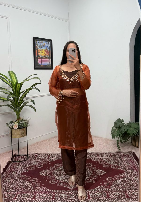 Brown Organza Mirror Lace Work Salwar Suit - Image 5