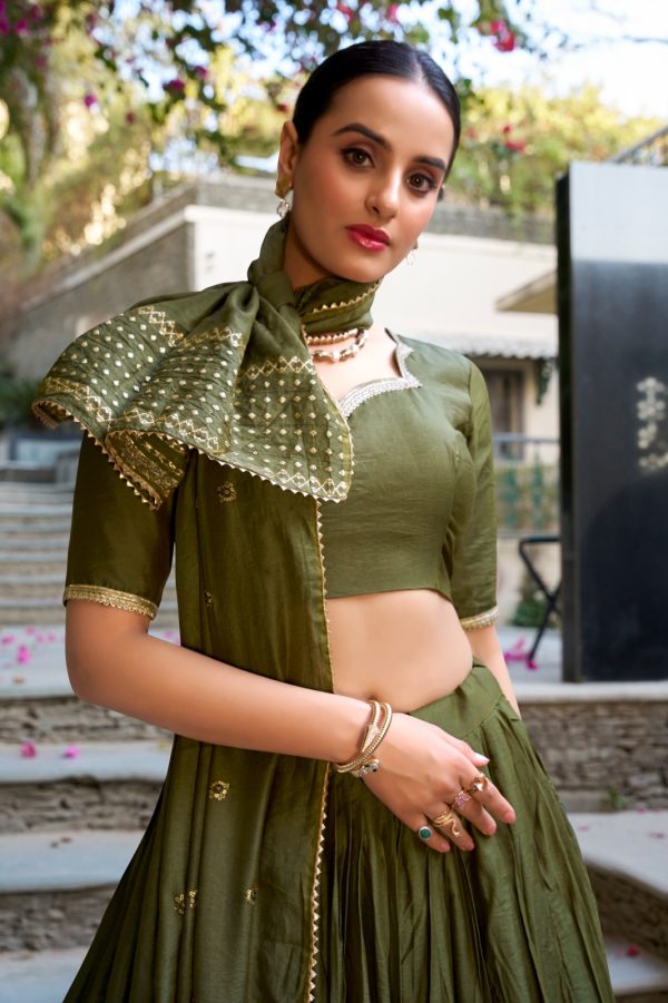 Mehndi Chanderi Plain With Zari Weaving Work Border Lehenga Choli