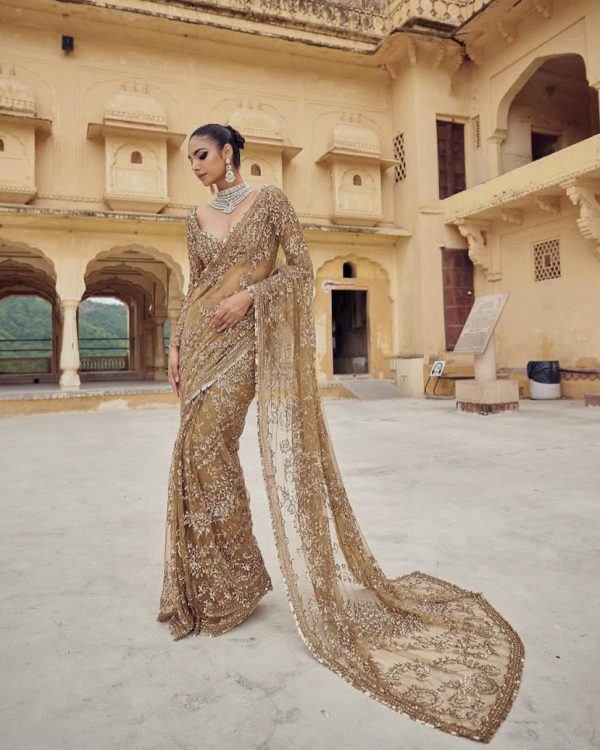 DF 3441 Chiku Color Mono Net Heavy 5mm Sequins Embroidery Work Saree Casual, Wedding, Festive, Events . Expected Delivery  4-6 Working Days @1799/- only                                                                                | Sarees, Bollywood Sarees, Creative Sarees, Designer Sarees, Embroidered Sarees, Ethnic Saree, Modern Digital sarees, Party Wear Sarees