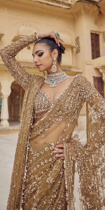 DF 3441 Chiku Color Mono Net Heavy 5mm Sequins Embroidery Work Saree Casual, Wedding, Festive, Events . Expected Delivery 4-6 Working Days @1799/- only | Sarees, Bollywood Sarees, Creative Sarees, Designer Sarees, Embroidered Sarees, Ethnic Saree, Modern Digital sarees, Party Wear Sarees