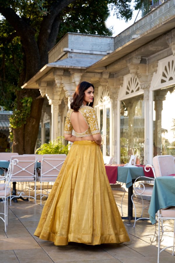 LNB 1424 Mustard Color Mustard Goldie Plain Lehenga Choli Wedding, Party, Festive, Events Etc. Delivery 4-6 Working Days Rs 3199 | Lehenga, Bollywood Lehenga, Creative Lehenga, Designer Lehenga, Embroidered Lehenga, Party Wear Lehenga