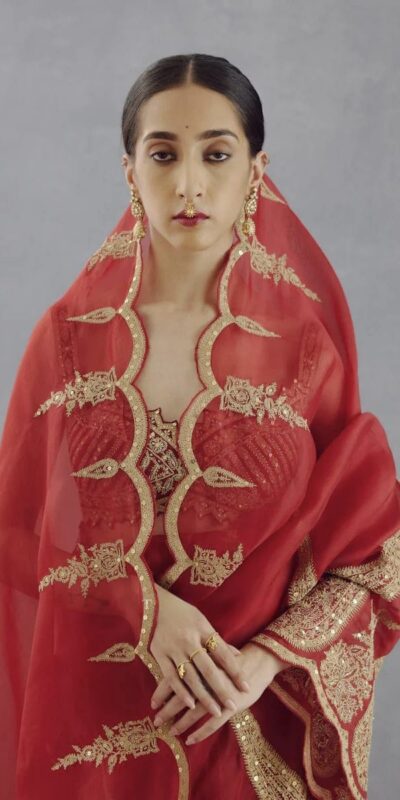 DF Queen Red Organza Tissue Saree with Sequins Work & Embroidery. Festive Deal ₹2499. Delivery 4-6 Working Days. Shop now. | Sarees, Bollywood Sarees, Creative Sarees, Designer Sarees, Embroidered Sarees, Ethnic Saree, Modern Digital sarees, Party Wear Sarees