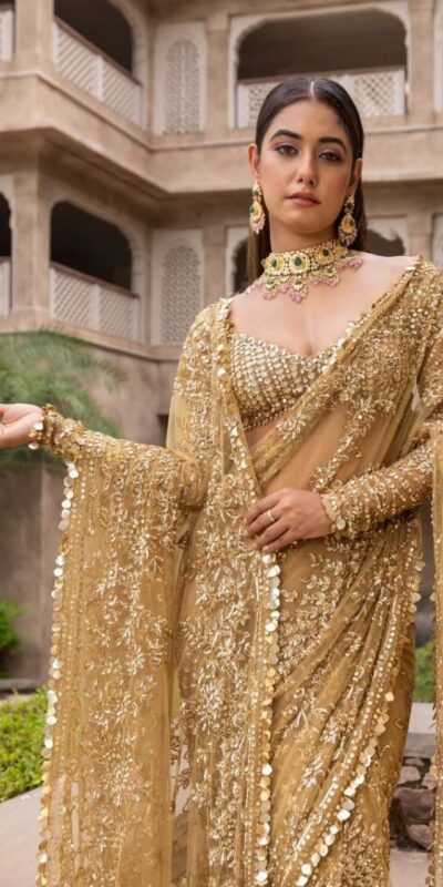 BT 388 Chiku Nylon Butterfly Net Saree with Lace Border & Lace Work. Exclusive Offer ₹1774. Delivery 4-6 Working Days. Shop now. | Sarees, Bollywood Sarees, Creative Sarees, Designer Sarees, Embroidered Sarees, Ethnic Saree, Modern Digital sarees, Party Wear Sarees
