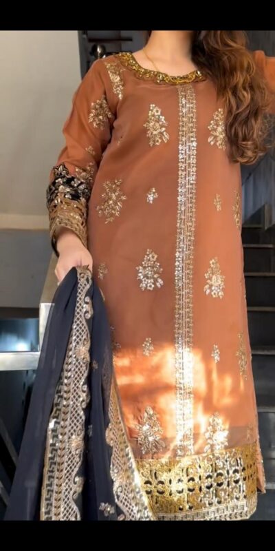 ST 1161 Orange Nylon Twil Net Salwar Suit with Embroidery Work. Available at ₹2149 only. Delivery 4-6 Working Days. Shop now. | Jump Suits, Salwar suit, Casual Suits, Creative suits, Designer Suits, Palazzo Suits, Party Wear Suits, Patiala Suits, Straight Suits