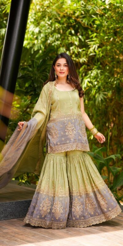 BB 47 Pista Chinon Salwar Suit with Embroidery Work. Wedding, Party, Festive, Events, Exclusive Offer ₹2599. Delivery 4-6 Working Days. Shop now. | Jump Suits, Salwar suit, Casual Suits, Creative suits, Designer Suits, Palazzo Suits, Party Wear Suits, Patiala Suits, Straight Suits