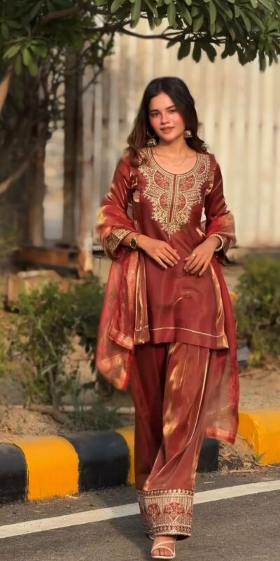 NF 1285 Rust Fandy Silk Salwar Suit with Lace Work & Embroidery Work. Introductory Price ₹2149. Delivery 4-6 Working Days. Shop now. | Jump Suits, Salwar suit, Casual Suits, Creative suits, Designer Suits, Palazzo Suits, Party Wear Suits, Patiala Suits, Straight Suits