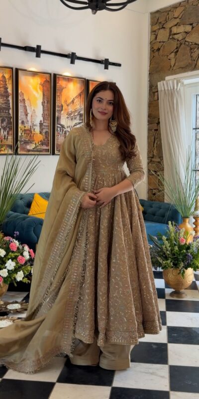 SR 1726 Chiku Fendy Silk Gown with Embroidery Work & Sequins Work. Special Price ₹2899. Delivery 4-6 Working Days. Shop now. | Gowns, Bollywood Gowns, Creative Gowns, Designer Gowns, Embroidered Gowns, Party Wear Gowns