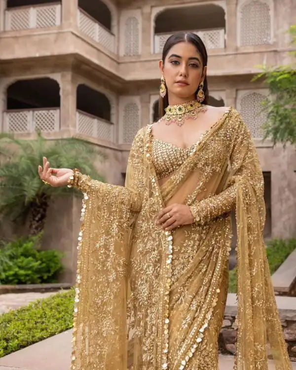 Dazzling Golden Color Mono Butterfly Net Embroidery work Saree