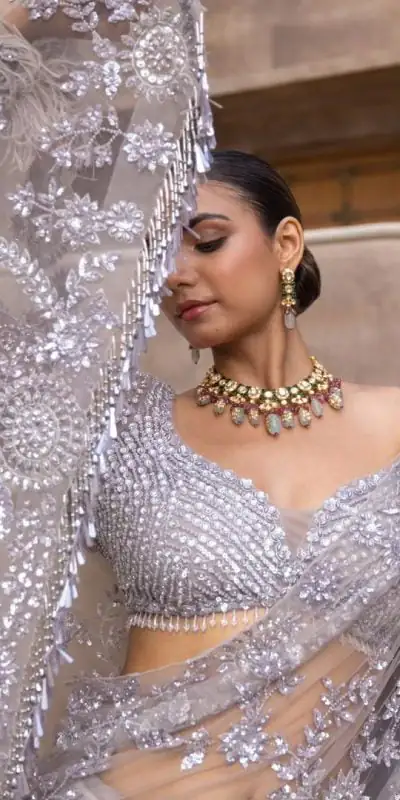 Miracle Grey Color Mono Net Sequins Embroidery work Saree