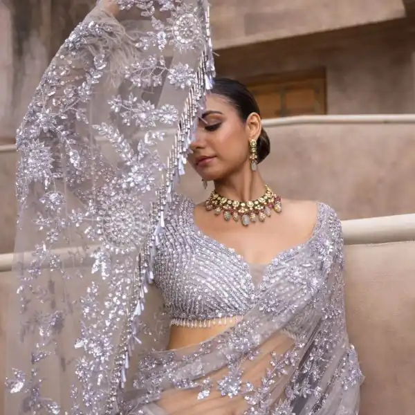 Fancy Silver Color Nylon Butterfly Net Malty & Sequence Saree