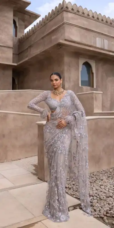 Fancy Silver Color Nylon Butterfly Net Malty & Sequence Saree