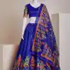 Nice Blue Color Silk Embroidery Sequins Amazing Print Lehenga Choli
