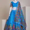 Nice Sky Blue Color Silk Embroidery Sequins Amazing Print Lehenga Choli