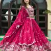 Aglow Rani Color Embroidery Georgette Sequence Lehenga Choli