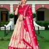 Fantastic Red Color Dole Silk Shikora Print Zari Border Lehenga Choli