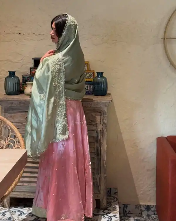 Peach Sequence Embroidery Rivet Moti Work Salwar Suit - Image 3