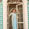 Fantastic Sky Blue Color Chinon Embroidery Work Lace Border Saree
