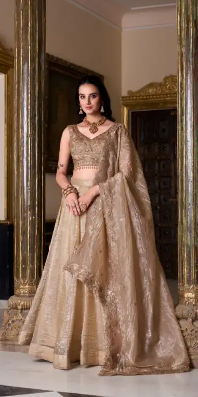 LNB 1430 Chiku Color Gold Crush Plain Canvas Lehenga Choli Wedding, Party, Festive, Events Etc. Delivery 4-6 Working Days Rs 3199 | Lehenga, Bollywood Lehenga, Creative Lehenga, Designer Lehenga, Embroidered Lehenga, Party Wear Lehenga