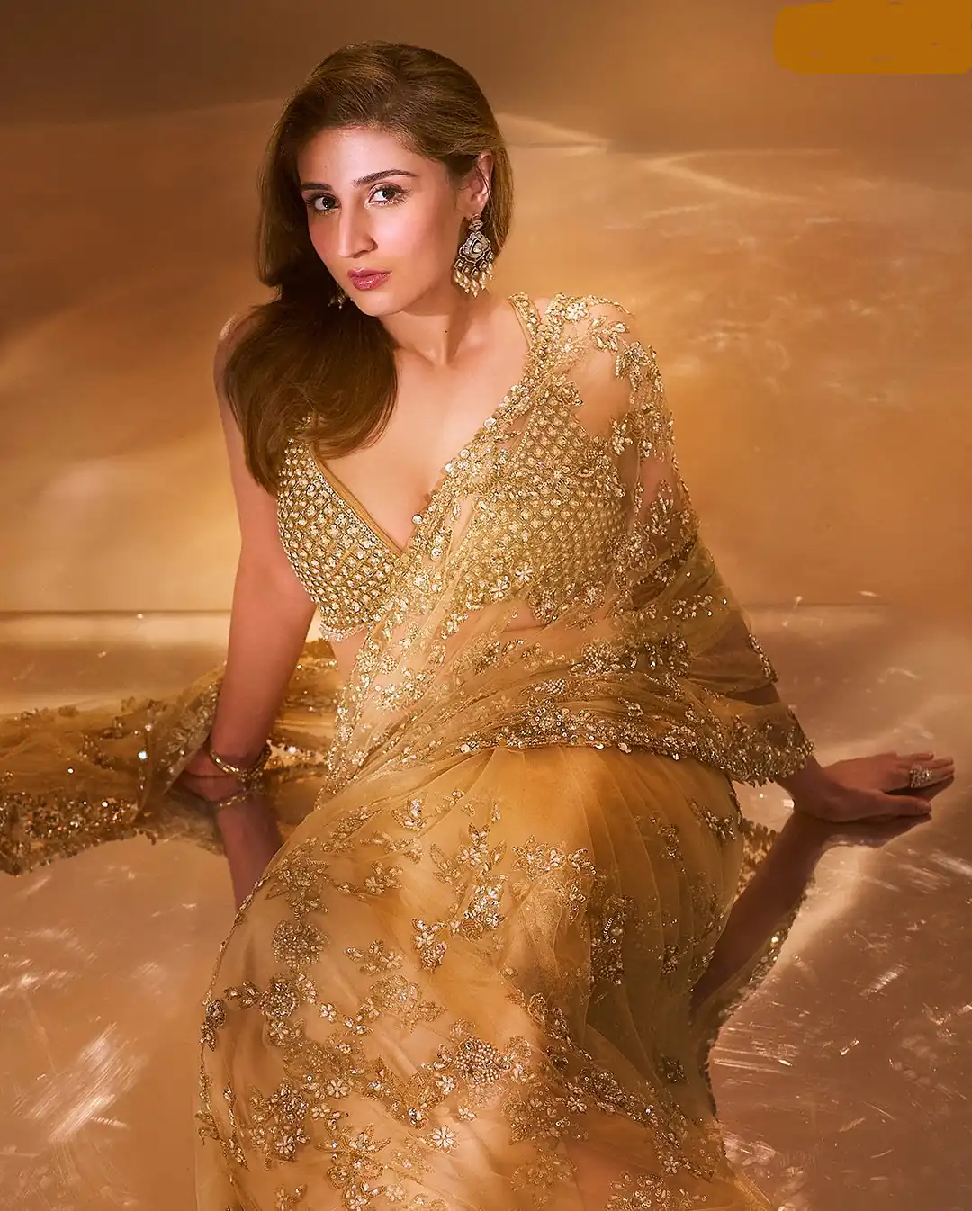 BT 388 Chiku Nylon Butterfly Net Saree with Lace Border & Lace Work. Exclusive Offer ₹1774. Delivery 4-6 Working Days. Shop now. | Sarees, Bollywood Sarees, Creative Sarees, Designer Sarees, Embroidered Sarees, Ethnic Saree, Modern Digital sarees, Party Wear Sarees