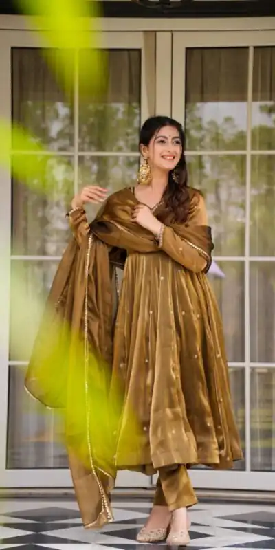 Alternative view of Brown Organza Silk Border Lace Work Salwar Suit