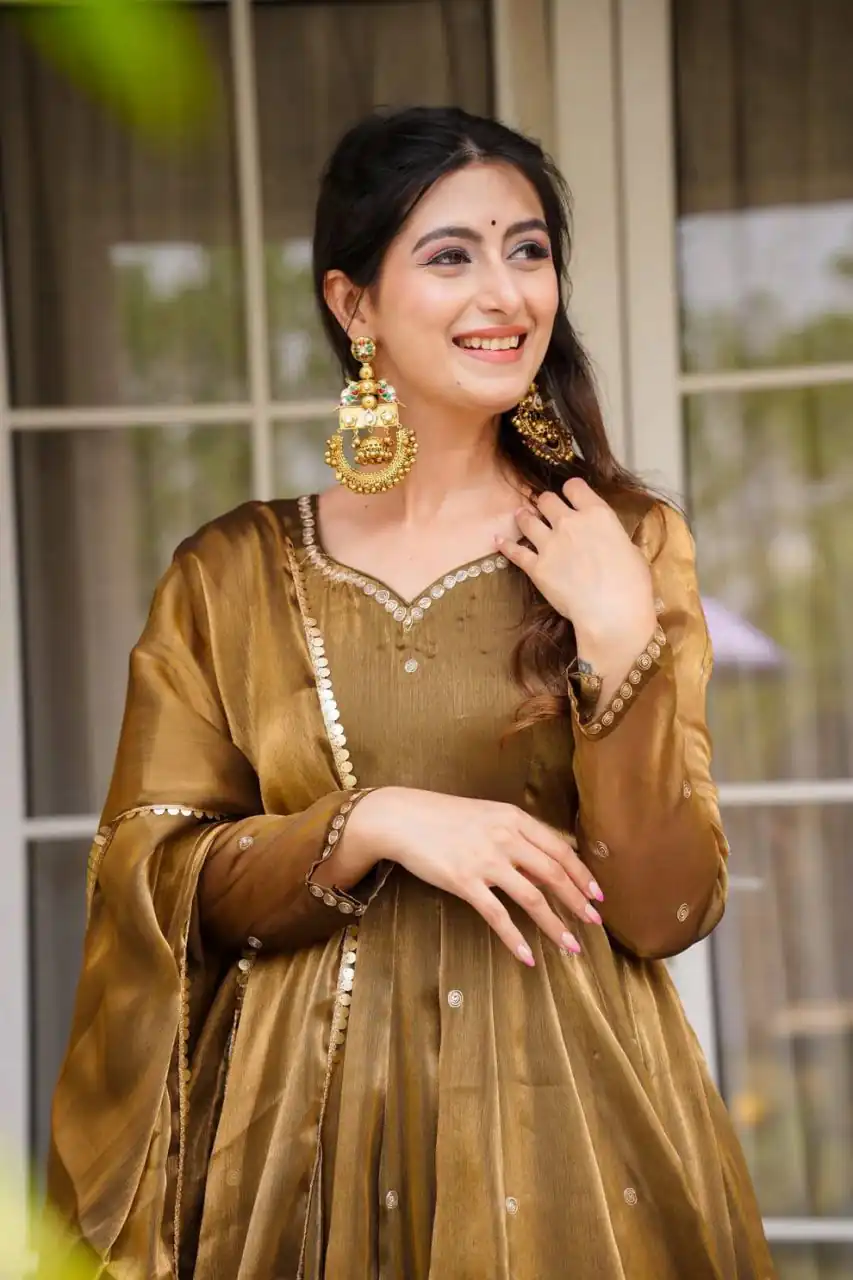 Brown Organza Silk Border Lace Work Salwar Suit - Image 5