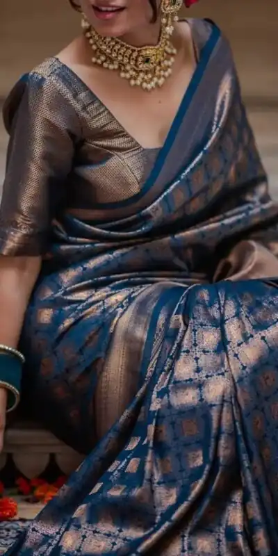 Alternative view of Superb Blue Lichi Silk Jacquard Border Work Saree